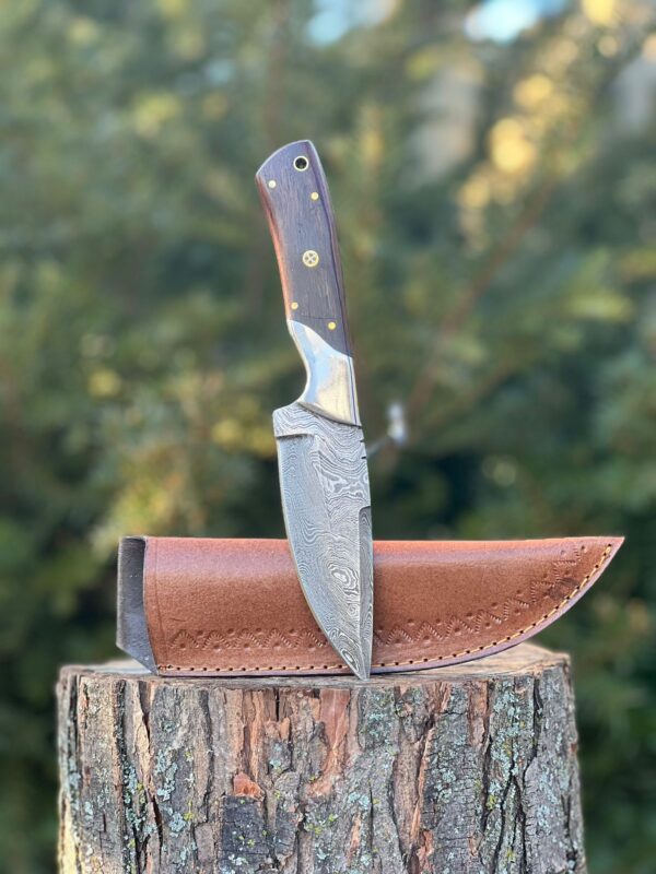 Rosewood-Handled Hunting Knife Forged From Damascus Steel .