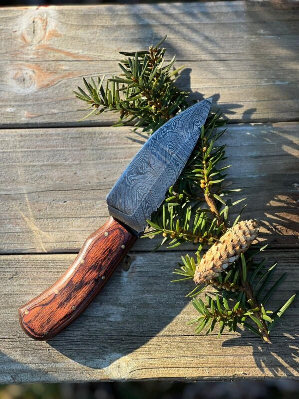 Damascus Steel Skinner Knife With Durable Pukka Wood Handle .